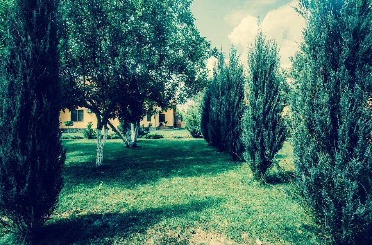 Sunrise Boutique Hotel Berehove  Εξωτερικό φωτογραφία